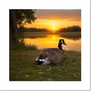 goose watching the sunset Posters and Art